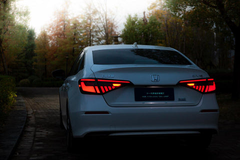 Back Lights